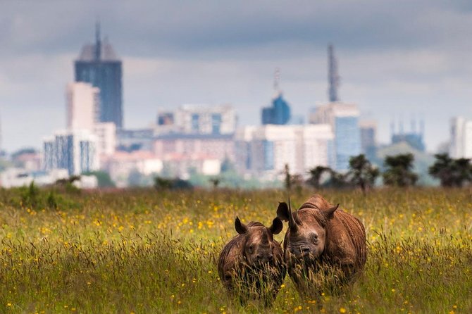 Early Nairobi Park Giraffe Centre and Optional Elephant Orphanage - Who should book this day trip