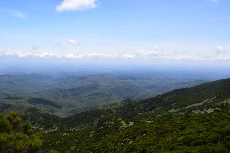 Elephant Hills Hike: 1-Day Adventure to the Aberdares - Forest Trails, Gorges, and High Views