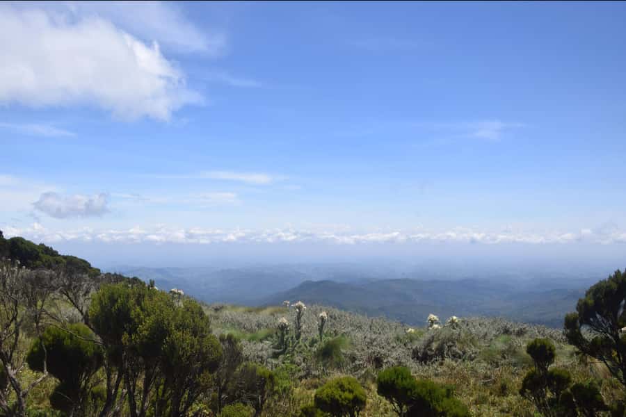 Elephant Hills Hike: 1-Day Adventure to the Aberdares - Wildlife Watching on Foot