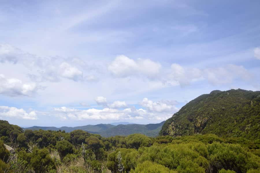 Elephant Hills Hike: 1-Day Adventure to the Aberdares - A Picnic Lunch at Midday