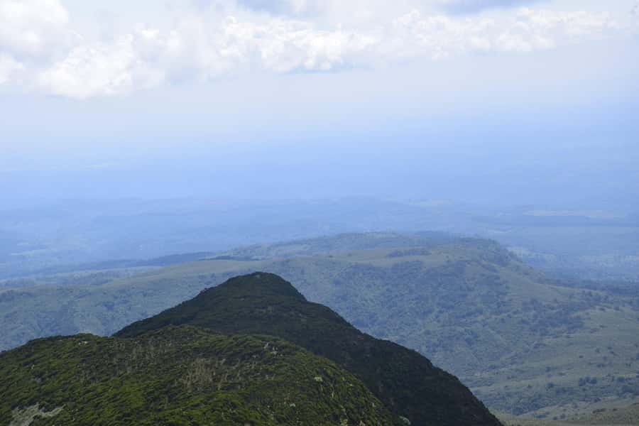 Elephant Hills Hike: 1-Day Adventure to the Aberdares - Point of Despair and the Mountain Weather