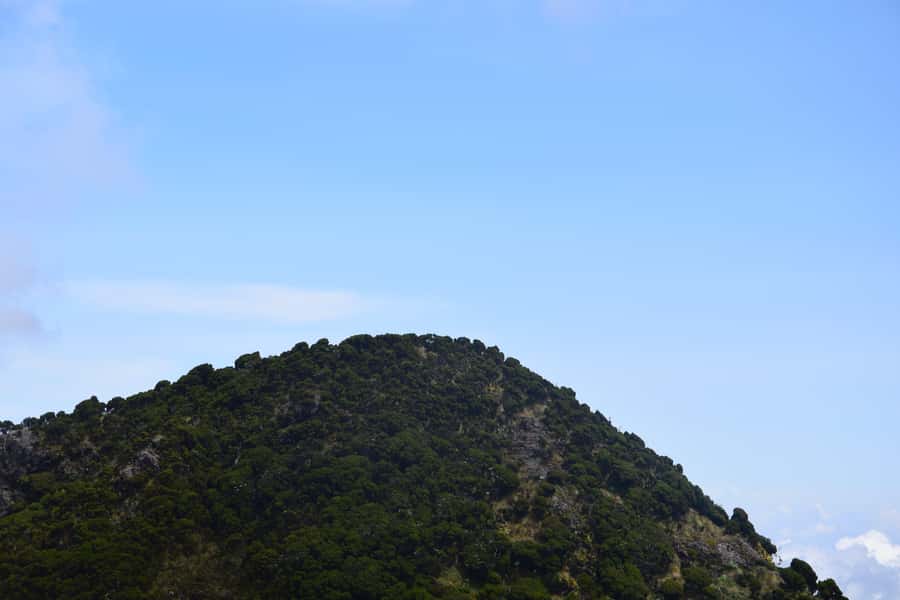 Elephant Hills Hike: 1-Day Adventure to the Aberdares - What the $77 Price Really Buys
