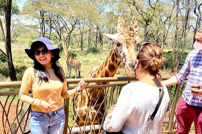 Elephant Orphanage and Giraffe Center Nairobi Day Tour - Moving on to the giraffe center