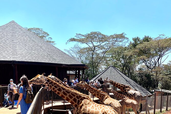 Elephant Orphanage and Giraffe Center Nairobi Day Tour - Is $194.81 per person fair?