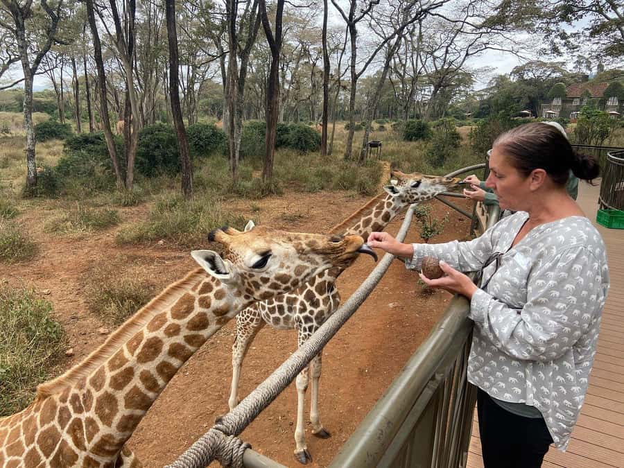 Elephant Orphanage and Giraffe Center Tour with Options - Is the $35 Price Good Value?