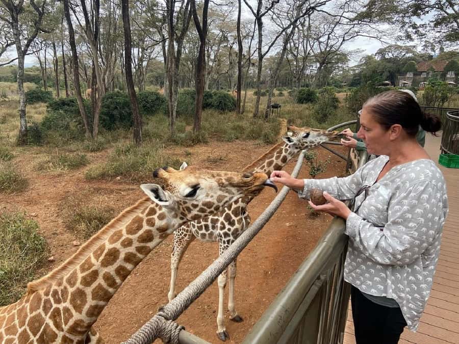 Elephant orphanage, Giraffe center, kobe beads tour - Key points to know before booking