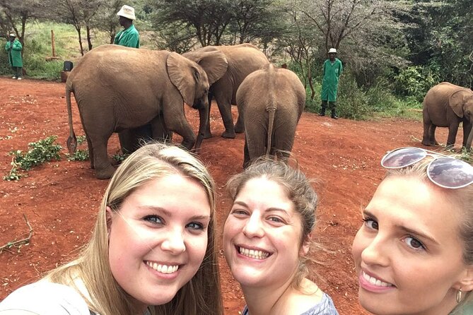 Elephant Orphanage, Giraffe Centre& optional Nairobi NationalPark - Guides, comfort, and the small details