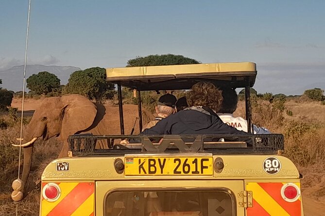 Elky Tours 2 Days Tsavo East Tour - Day two: coffee, wildlife, and the road back to the coast