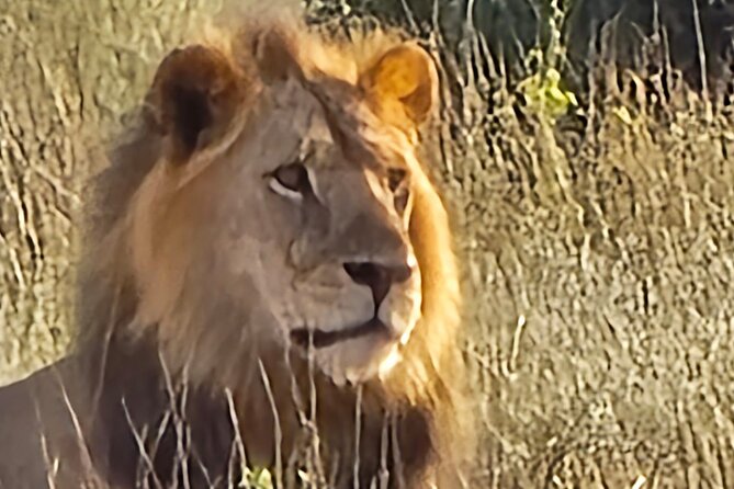 Elky Tours 2 Days Tsavo East Tour - Day one: first game drive and a full afternoon in Tsavo