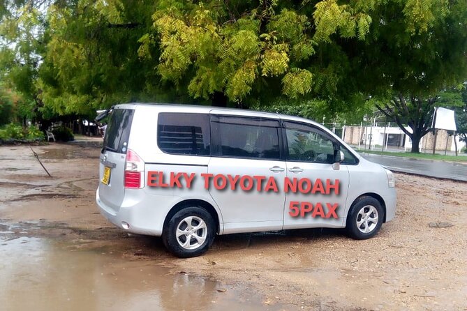 Elkydianibeachtaxis - Key points at a glance