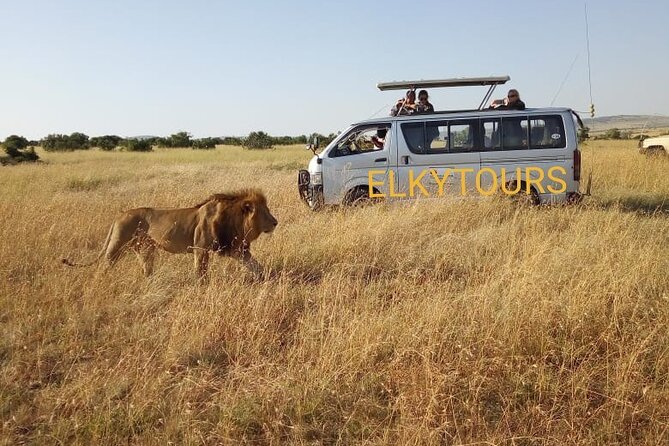 Elkydianibeachtaxis - Why a private taxi helps on the Kenyan coast