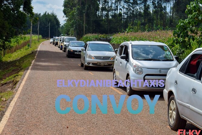 Elkydianibeachtaxis - Communication, safety, and driver service