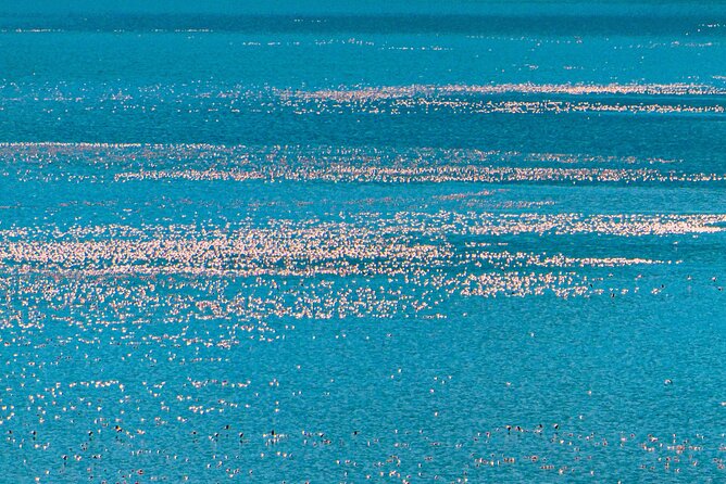 Escape to Lake Bogoria, Flamingo's new home for an overnight safari - Lunch and a quiet afternoon at Sandai Resort