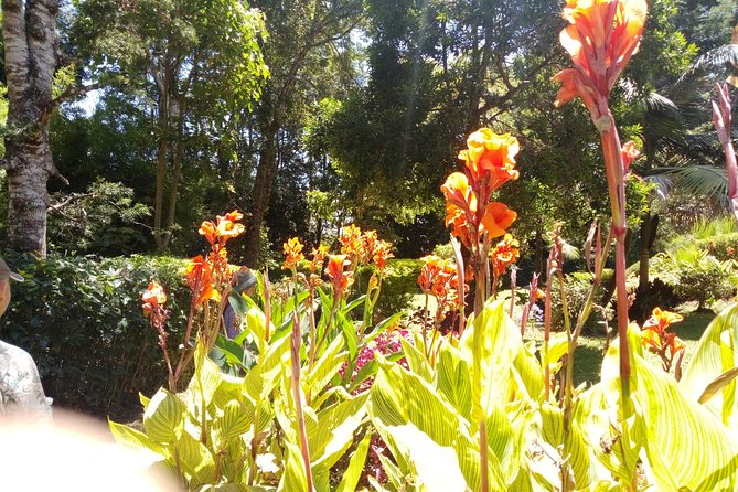 Excursion to Kiambethu Tea Farm - A three-course buffet built around farm ingredients