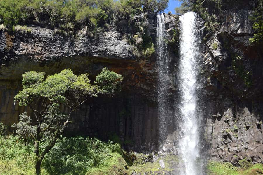 Explore Aberdare:See Big 5, Waterfalls & Camping in the wild - Why Aberdare feels different from a standard Kenya safari