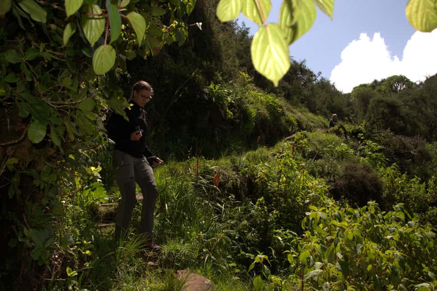 Explore Aberdare:See Big 5, Waterfalls & Camping in the wild - Leaving Westlands for Mutobio Gate