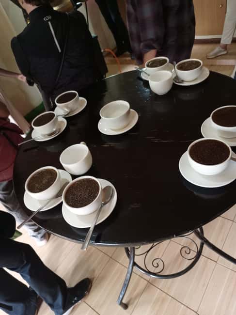 FAIRVIEW COFFEE FARM DAY TOUR - Key points at a glance