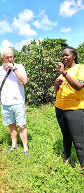 FAIRVIEW COFFEE FARM DAY TOUR - What the $82 price really buys