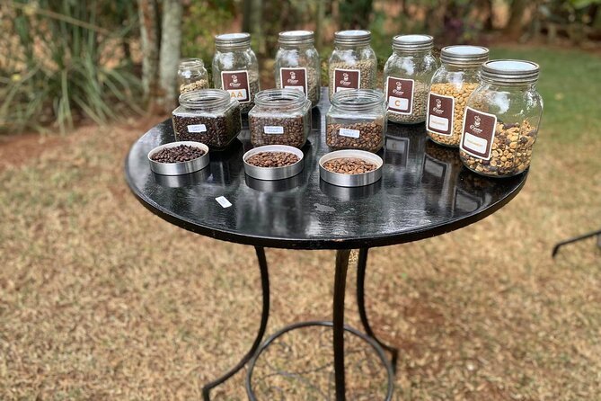Fairview Estate Coffee Farm Tour With Pick up - The final cup and coffee tasting