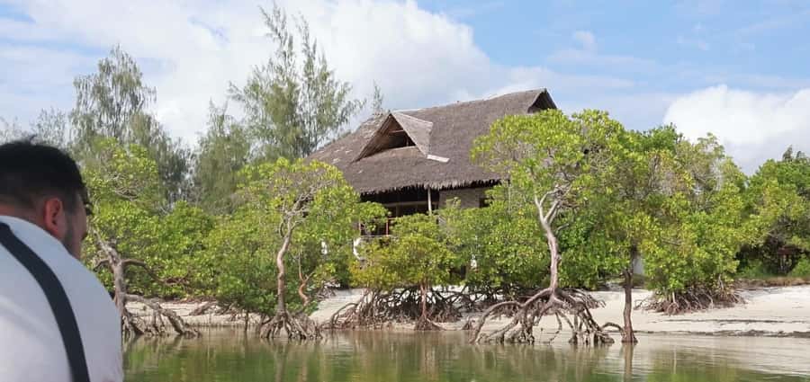From Diani Beach: Funzi Island Full Day Excursion with Lunch - What $110 gets you