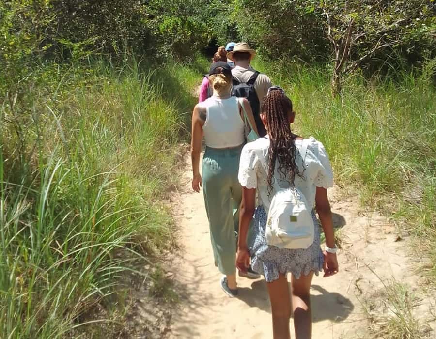 From Diani: Full Day Shimba hills tour with Sheldrick Falls - Why Shimba Hills makes a good change from Diani