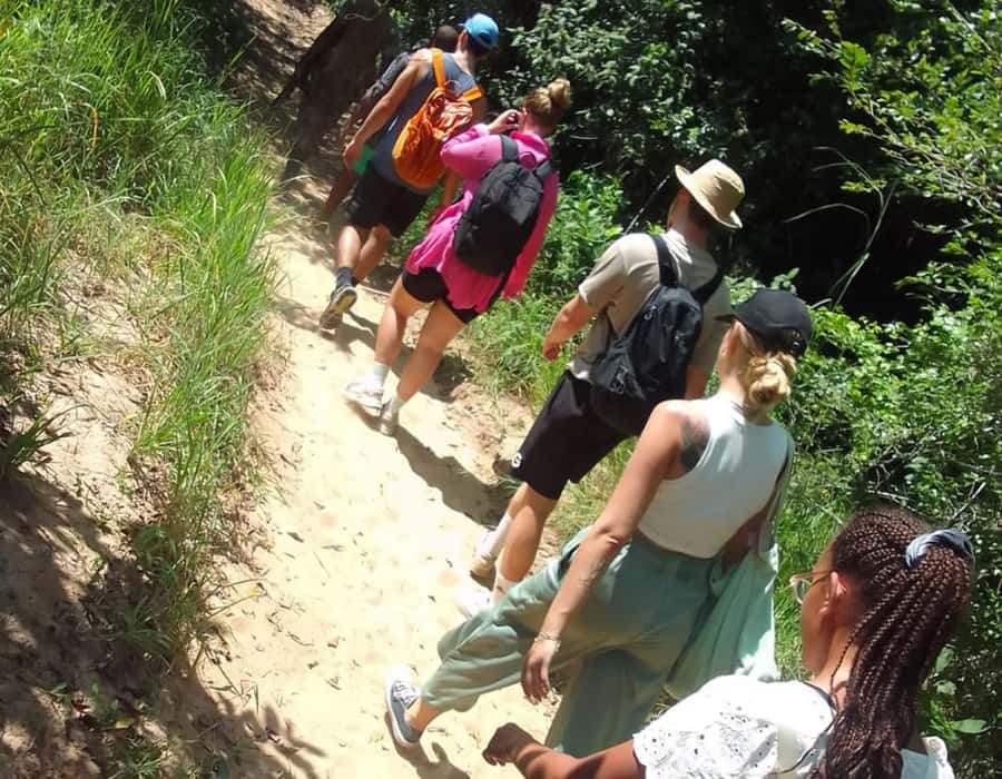 From Diani: Full Day Shimba hills tour with Sheldrick Falls - The 8:00 AM game drive through forest and grassland