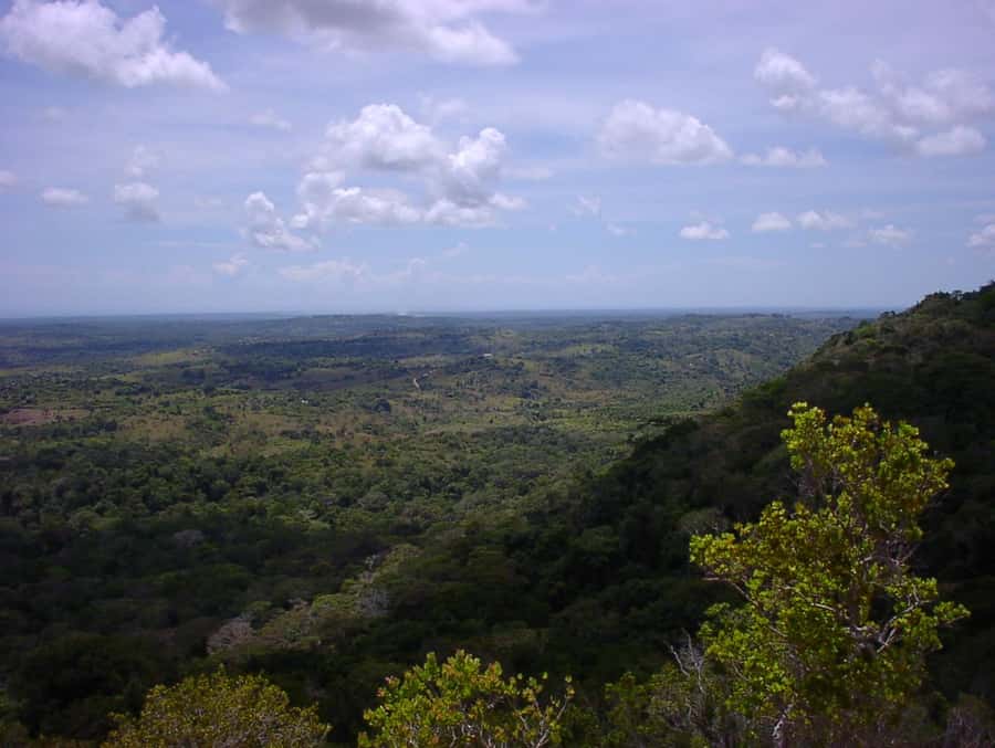 From Diani: Full Day Shimba hills tour with Sheldrick Falls - The 2.5-kilometre walk to Sheldrick Falls