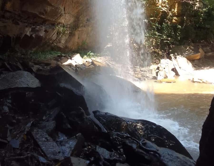 From Diani: Full Day Shimba hills tour with Sheldrick Falls - Lunch at Shimba Green Lodge