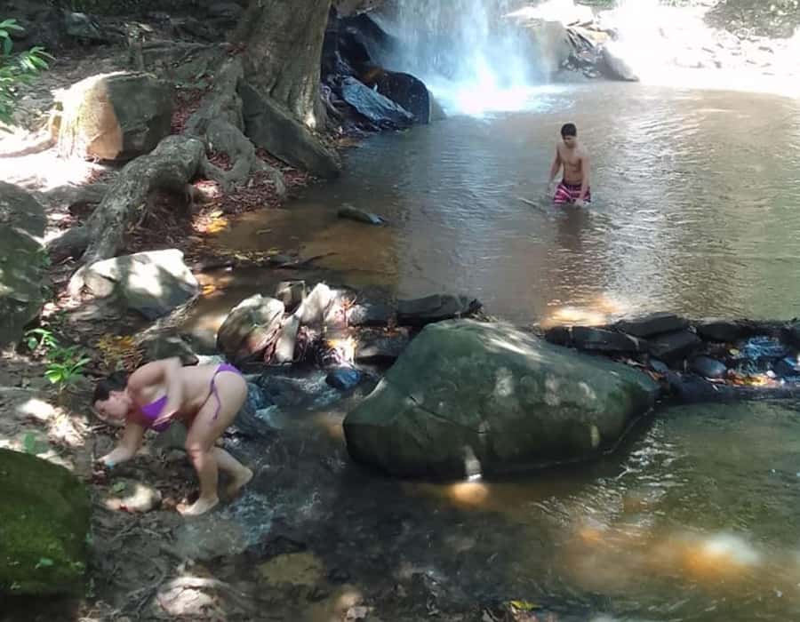 From Diani: Full Day Shimba hills tour with Sheldrick Falls - The 7:00 AM pickup from Diani