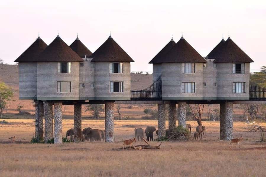 From Mombasa:5 Days Tsavo East,West and Saltlick Lodge safar - Key points to know before booking