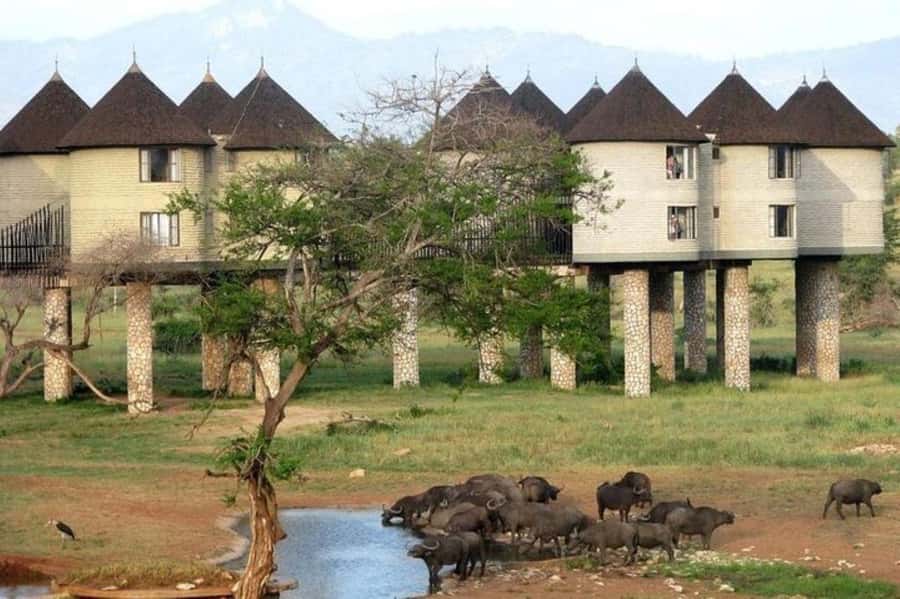 From Mombasa:5 Days Tsavo East,West and Saltlick Lodge safar - Day 2: A full Tsavo East game drive