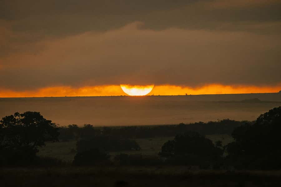 From Mombasa/Diani:3-Day Tsavo East-Tsavo West Parks safari - Day three: sunrise and the long return