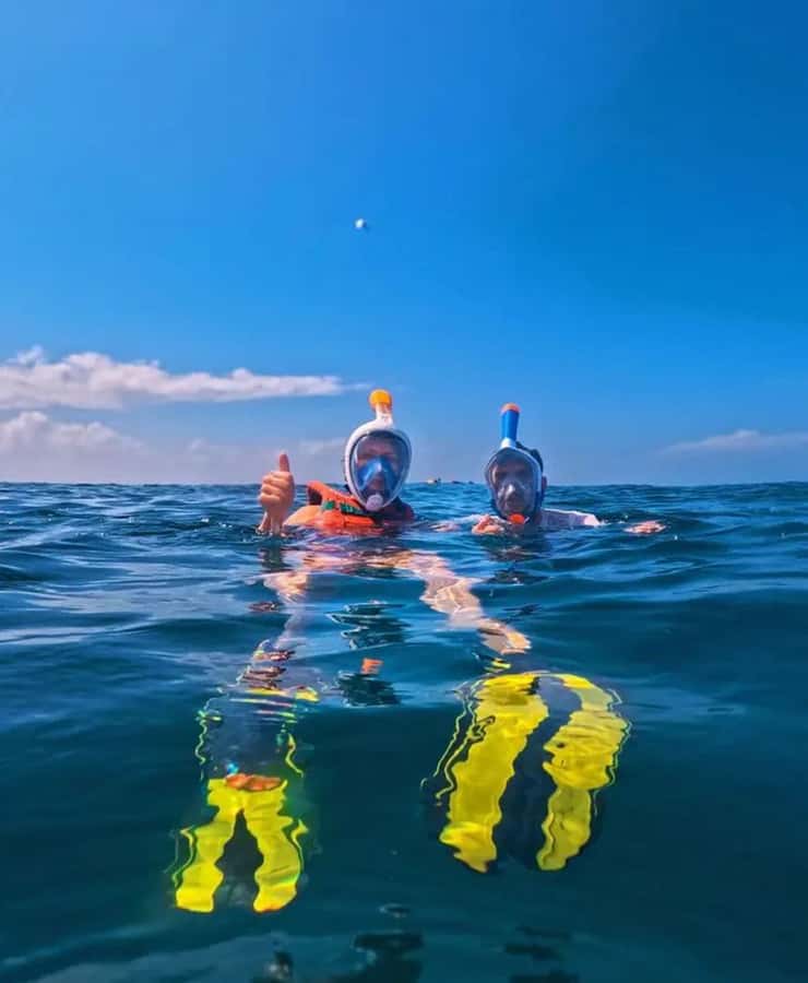 From Mombasa: Kisite Mpunguti Marine Park and Wasini Island - Key points at a glance