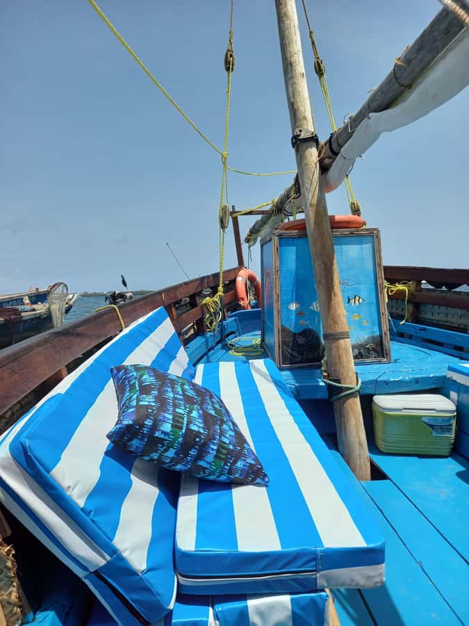 From Mombasa: Kisite Mpunguti Marine Park and Wasini Island - Is this the right coastal day trip for you?