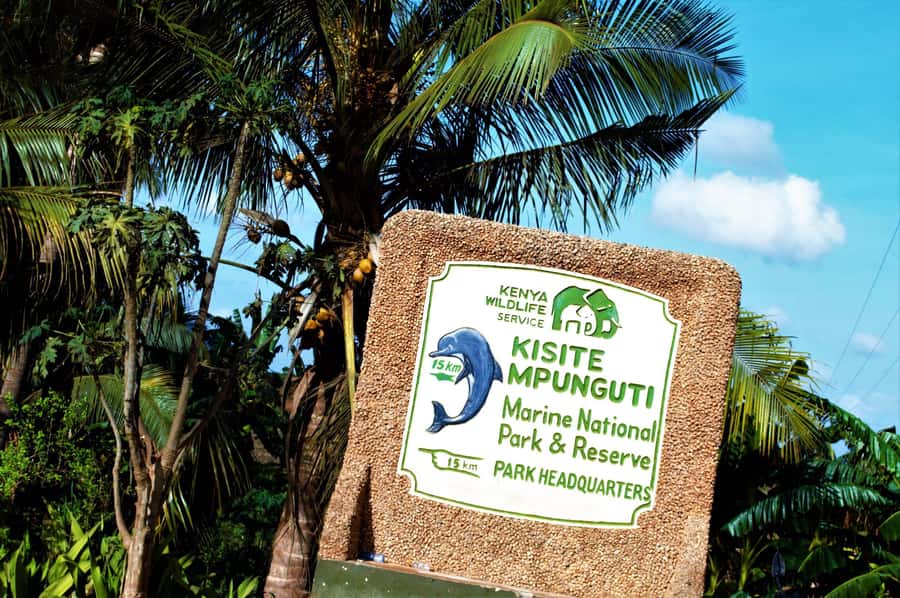 From Mombasa: Kisite Mpunguti Marine Park and Wasini Island - Searching for dolphins from Shimoni