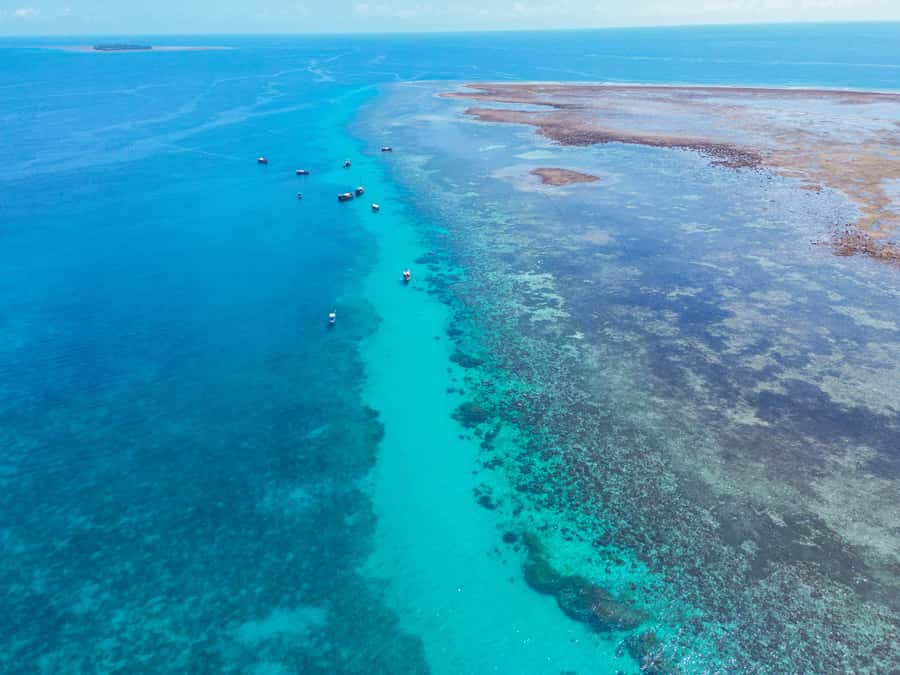From Mombasa: Kisite Mpunguti Marine Park and Wasini Island - Lunch on Wasini Island