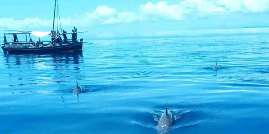 From Mombasa: Kisite Mpunguti Marine Park and Wasini Island - A short walk through Wasini