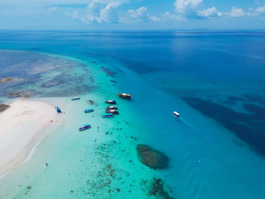 From Mombasa: Kisite Mpunguti Marine Park and Wasini Island - Guides, languages, and the standard of care