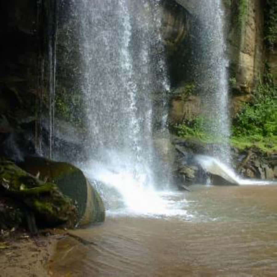 From mombasa: Shimba Hills National Reserve Day Safari - Finding wildlife inside Shimba Hills