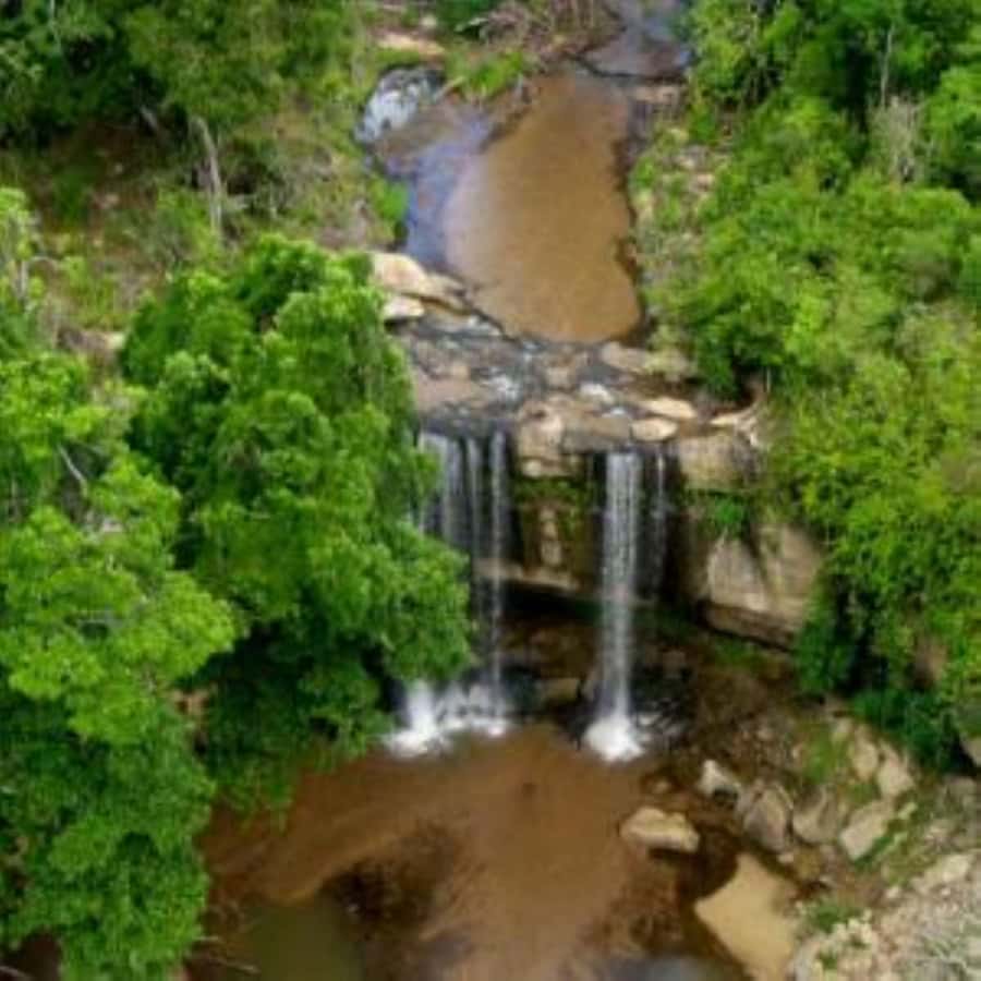 From mombasa: Shimba Hills National Reserve Day Safari - Who will enjoy this safari most?