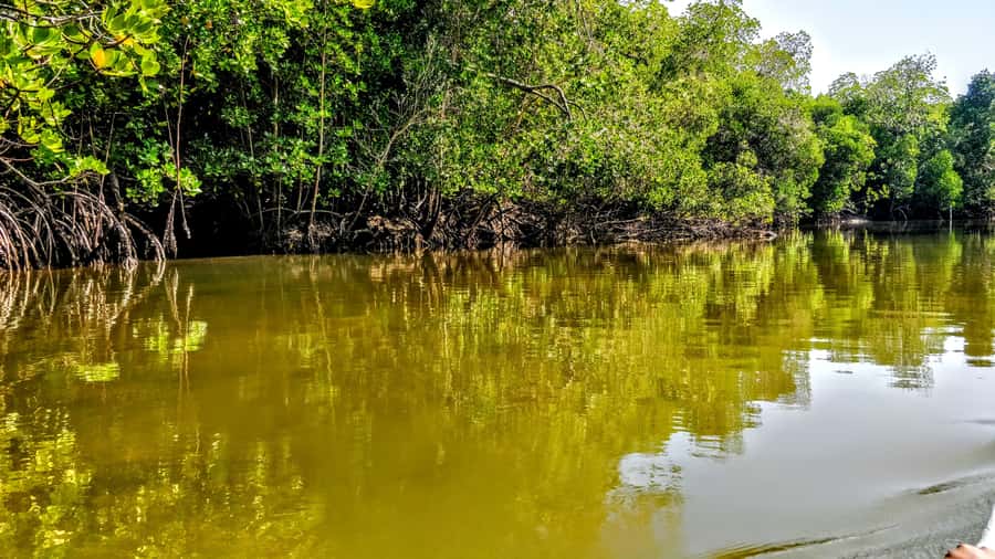From Mombasa: Watamu Marine Park & Sudi Island Excursion - Getting from Mombasa to Watamu