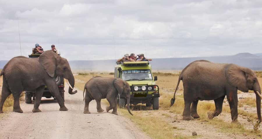 From Nairobi: 2-Day Amboseli National Park Safari - Overnight at the camp