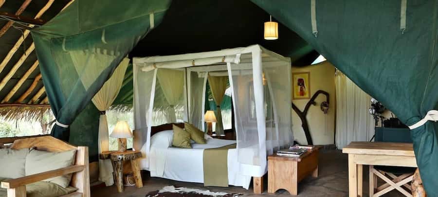 From Nairobi: 2-Day Amboseli National Park Safari - What the safari van means for game viewing