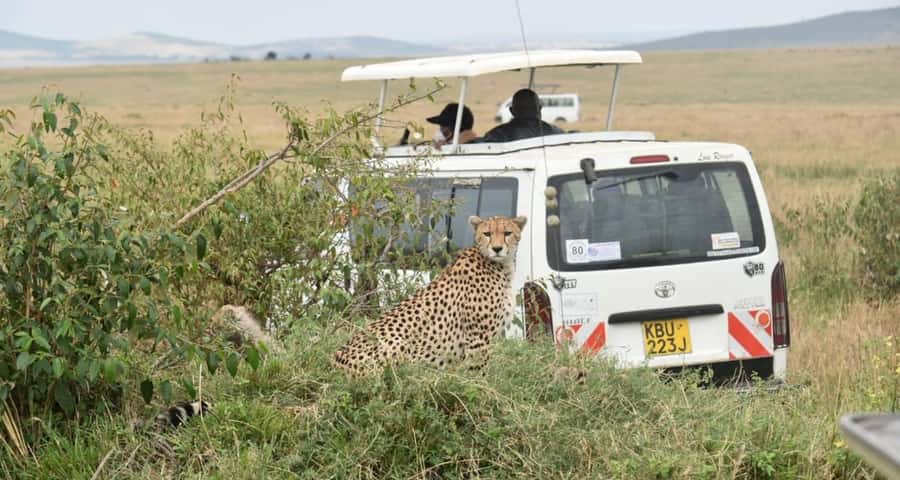 From Nairobi : 2-Days 1-Night Masai Mara Private 4WD Safari - Two different ways to spend Day 1