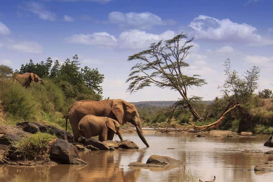 From Nairobi: 3-Day Tour to Samburu National Reserve - Key points to know before booking