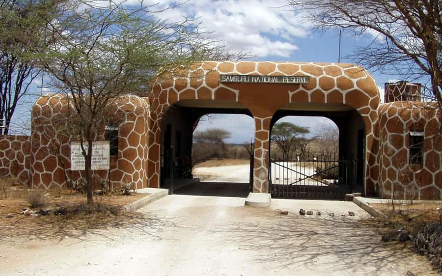 From Nairobi: 3-Day Tour to Samburu National Reserve - Day two: the Ewaso Nyiro River and Samburu’s special animals