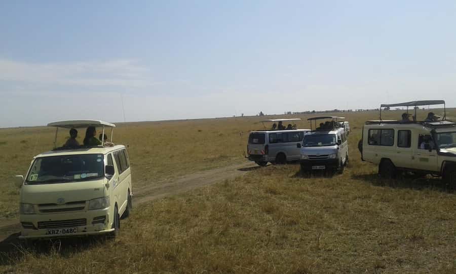 From Nairobi: 3 Days, 2 Nights Maasai Mara Group Safari - First afternoon: lunch, camp, and a sunset drive