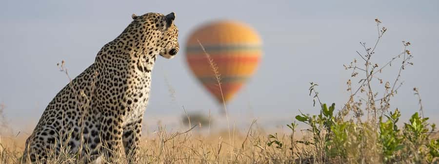 From Nairobi:3-Days 2-Nights Maasai Mara Group Safari in 4WD - Day 1: Nairobi, the Rift Valley, and the 4:00 PM Mara drive