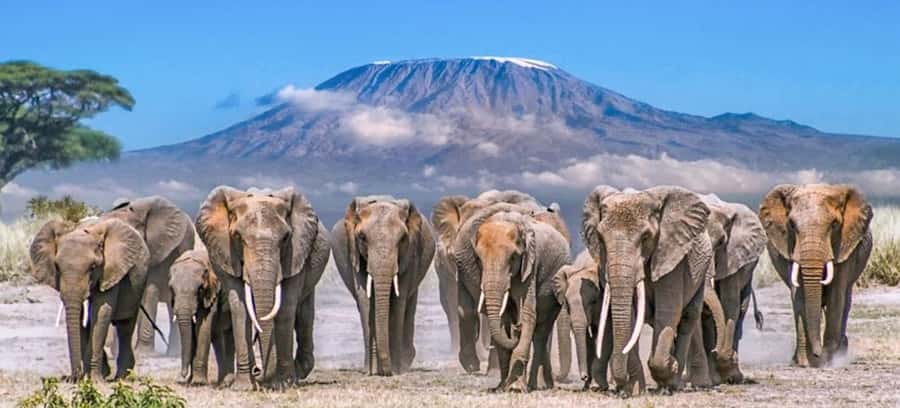 From Nairobi: 4-Day Amboseli and Tsavo Safari with Lodging - Why This Four-Day Route Works
