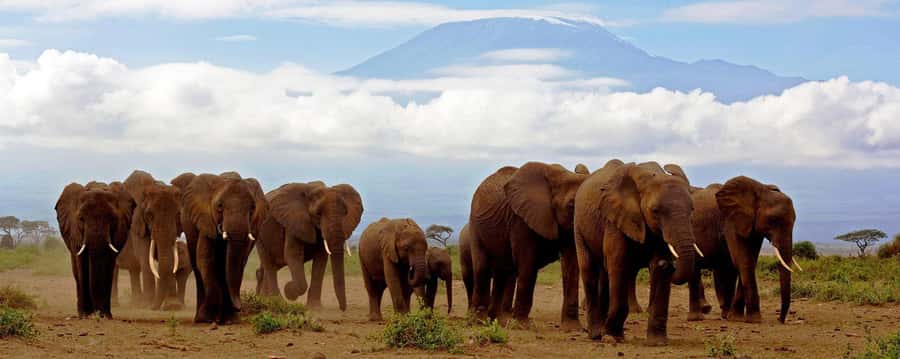 From Nairobi: 4-Day Amboseli and Tsavo Safari with Lodging - Lodges, Food, and the Daily Comfort Level